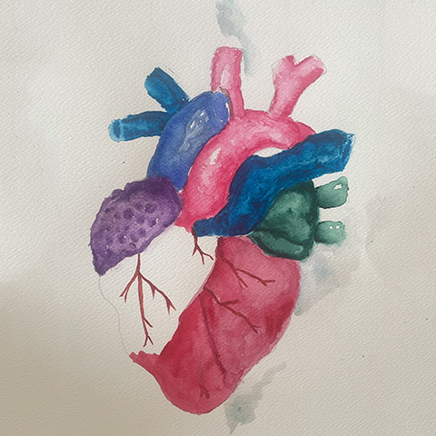 Virna Lissy Severiche Medina - Cardiología Pediátrica